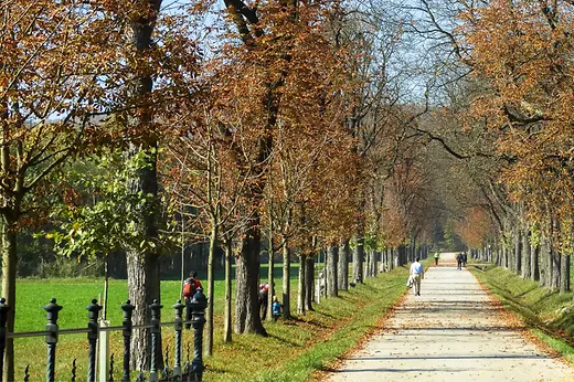 Herbst im Lainzer Tiergarten