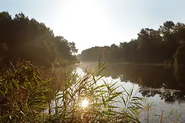 Parco Nazionale delle golene del Danubio