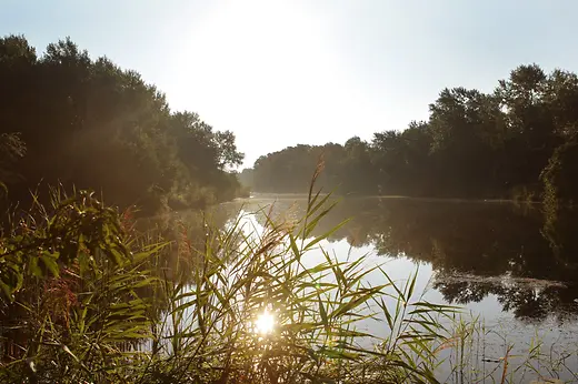 Danube floodplain national park