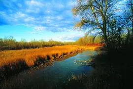 Danube floodplain national park