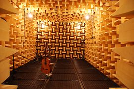 Anechoic chamber at the mdw