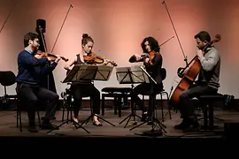 Musica da camera