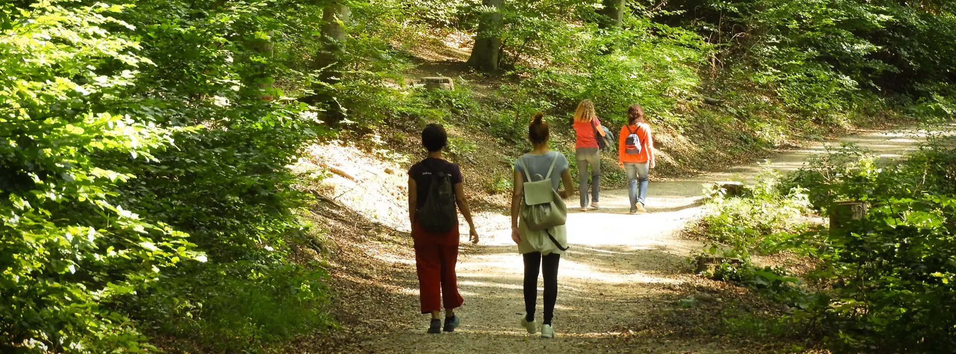 People on a hiking trail