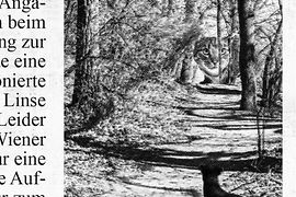 Zeitungsartikel 1984 über Mietzi (riesengroße Katze) am Rande des Wienerwaldes