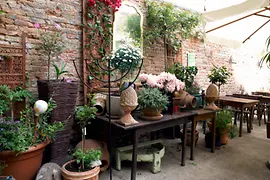 Jardin fleuri du restaurant Mill