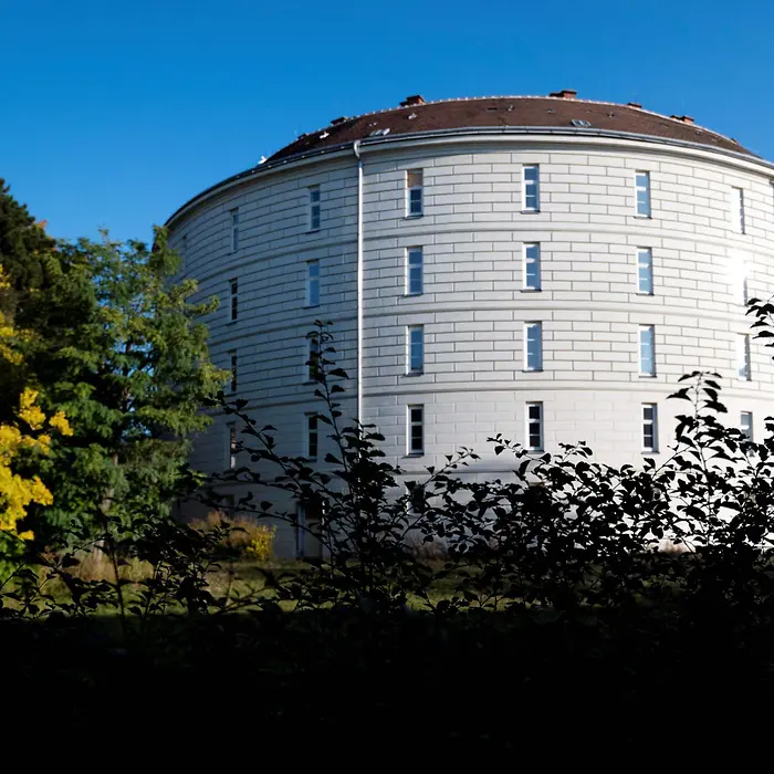 Pathologisch-anatomische Sammlung im Narrenturm - NHM