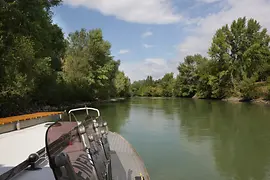 Battello del parco nazionale di Vienna nel Lobau