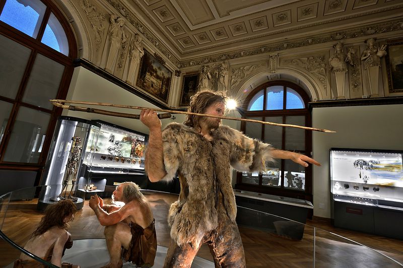 Anthropology hall in the Natural History Museum: Stone Age man with spear and pelt