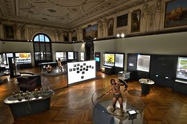 Anthropologiesaal im Naturhistorischen Museum mit Schädeln, Wachsfiguren und Vitrinen