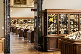 Muzeum Historii Naturalnej w Wiedniu, kolekcja minerałów