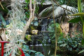 Waterfall in the Palm House at the Hirschstetten Botanical Gardens