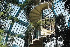 Escalera de caracol en la Casa de las Palmeras de Schönbrunn 