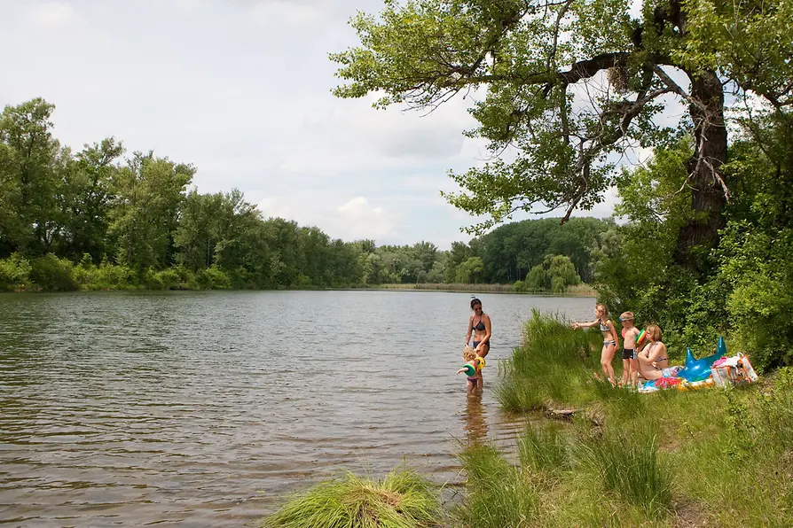Schwimmen in der Panozzalacke 