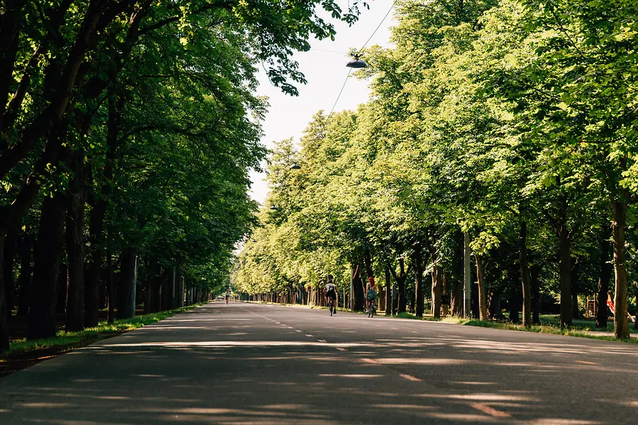Центральная аллея Пратера