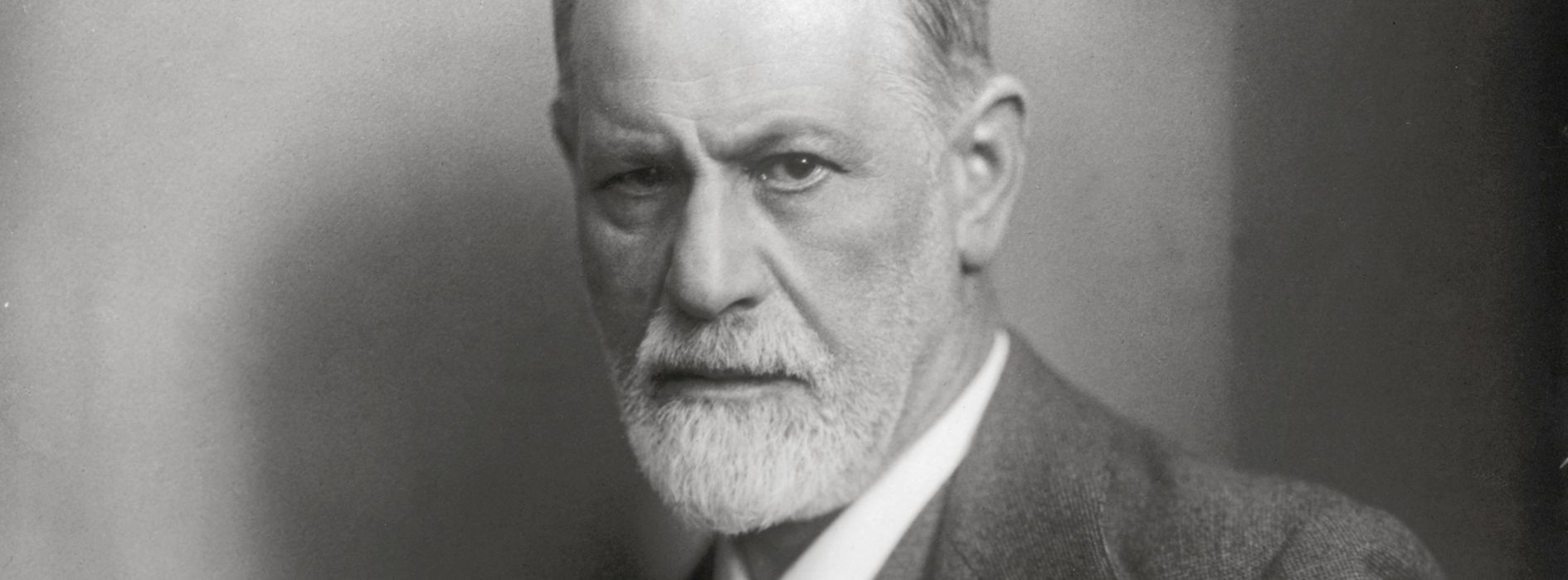 Sigmund Freud Superstar Vienna Info