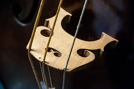 Sammlung alter Musikinstrumente, Detail Streichinstrument, Steg