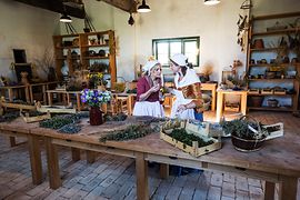 Jardinage en pot : atelier herbes Schloss Hof