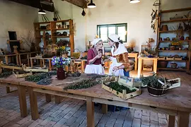 Coltivare le piante in vaso: workshop delle erbe aromatiche e officinali presso lo Schloss Hof