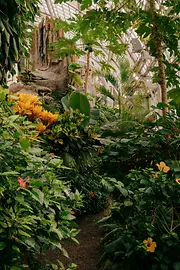 Butterfly House in the Burggarten