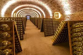 Cellar with champagne