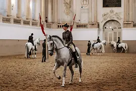 Scoala spaniola de calarie