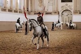 スペイン乗馬学校