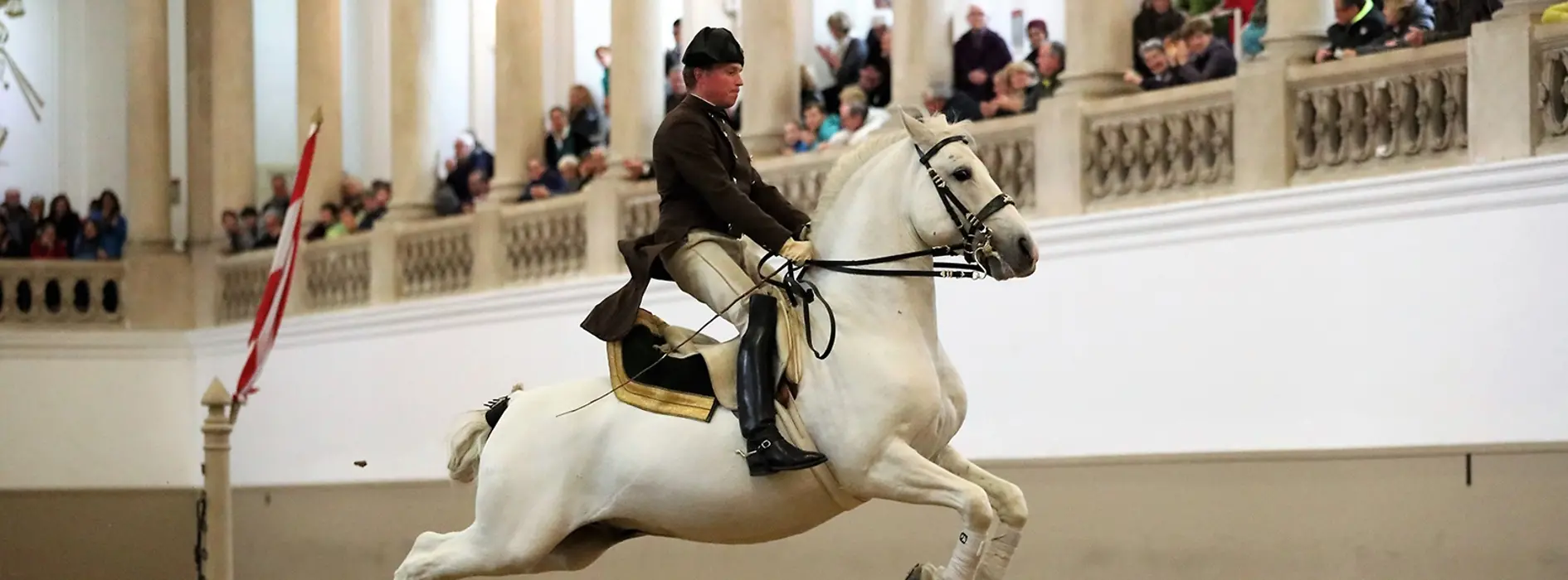 Испанская школа верховой езды, лошадь липицианской породы, всадник в прыжке