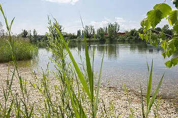 Sponda ghiaiosa di Strombucht 
