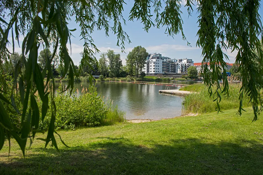 Liegewiese an der Strombucht