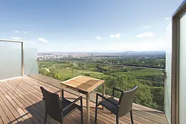 Vista de Viena desde una terraza