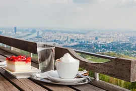 Blick von einer Terrasse auf Wien 