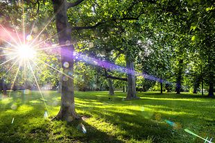 Theater im Park, Belvedere, Sonneneinfall