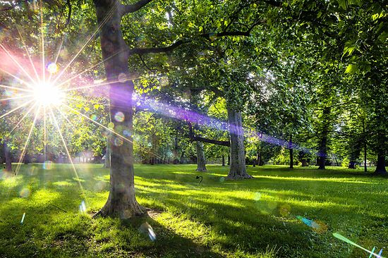 Theater im Park, Belvedere, Sonneneinfall