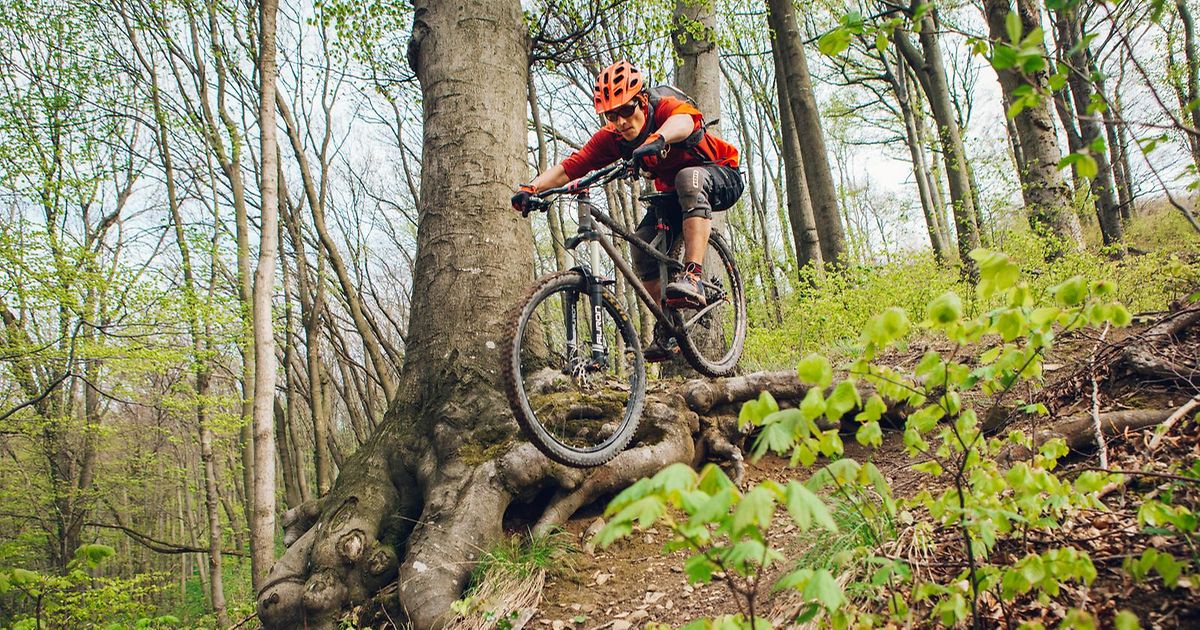 Per Vienna con la mountain bike - vienna.info