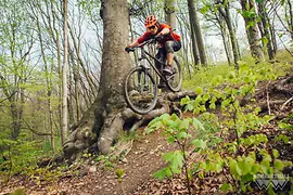 Divertimento in bicicletta nel Wienerwald 