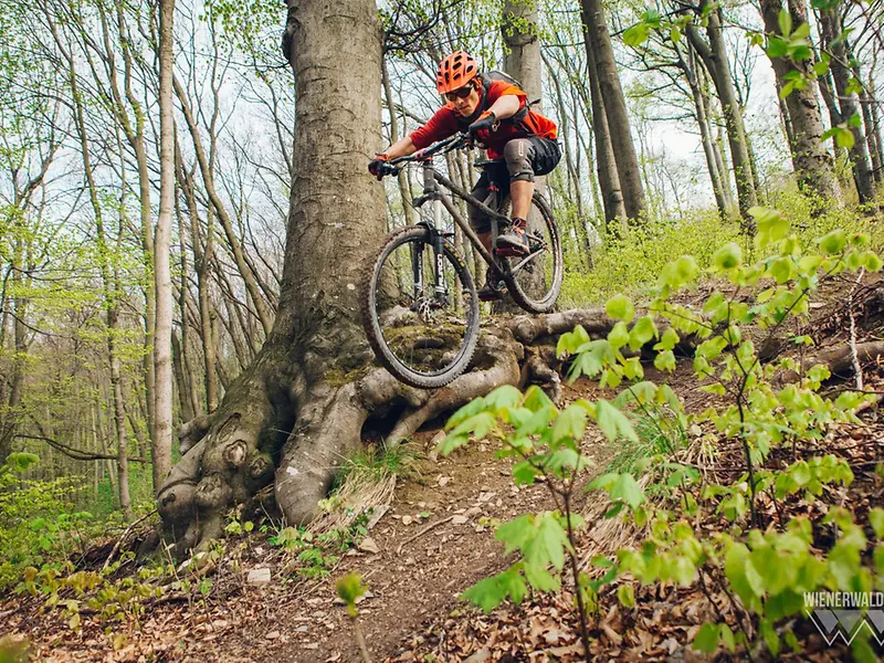 rennrad simplon Simplon  Der ReCyclist