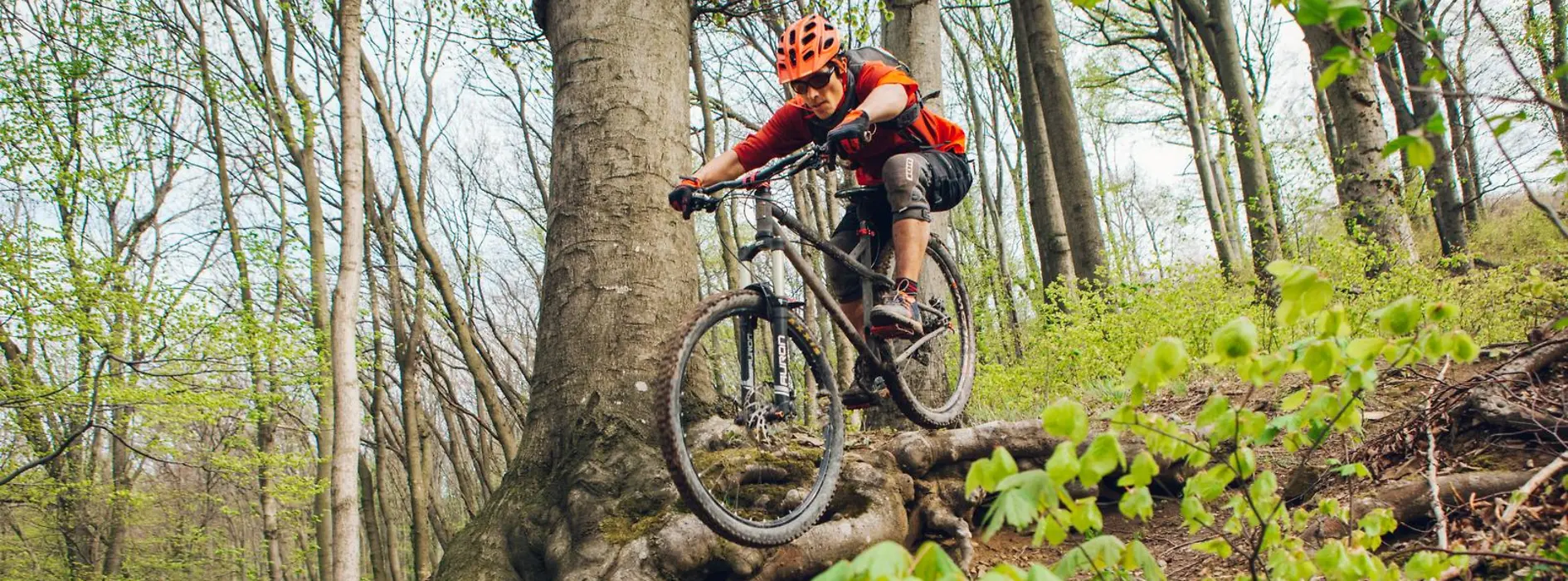 Fun biking in the Vienna Woods 