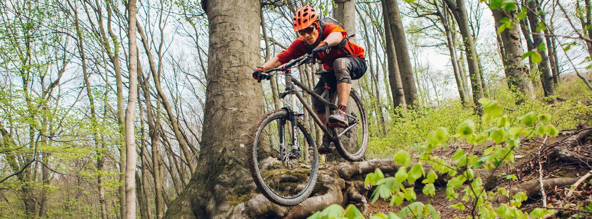Per Vienna con la mountain bike - vienna.info