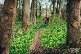 Mountain biker in the Vienna Woods