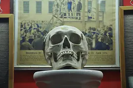Calavera
