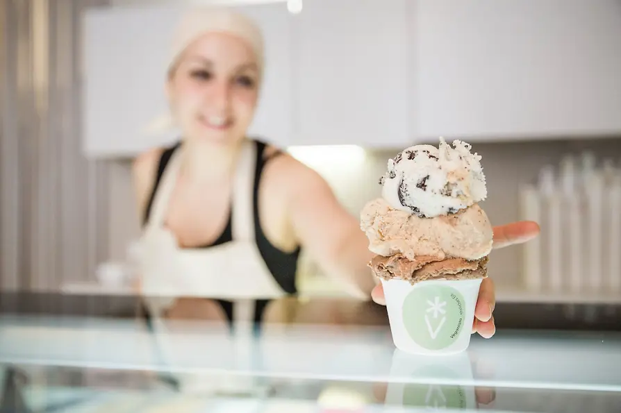 Heladería vegetariana Veganista Ice Cream 