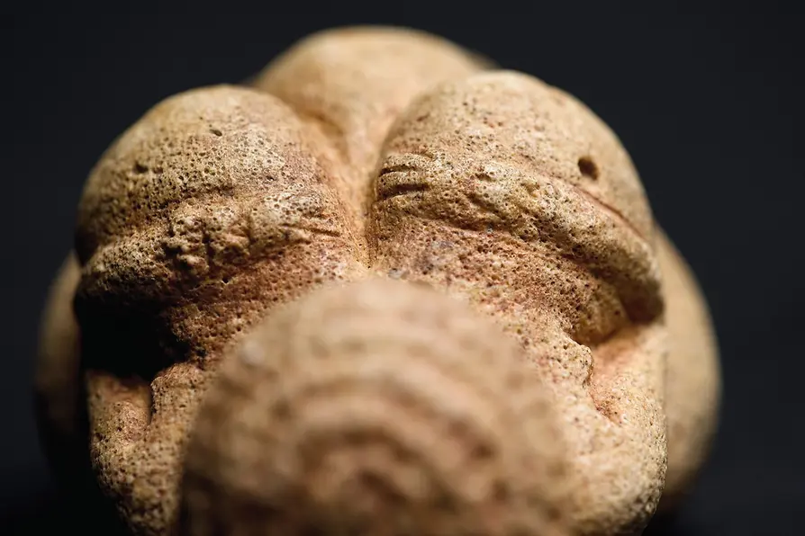 Sculpture of a naked woman from the early Paleolithic Age
