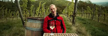 Chris Cummins in a vineyard