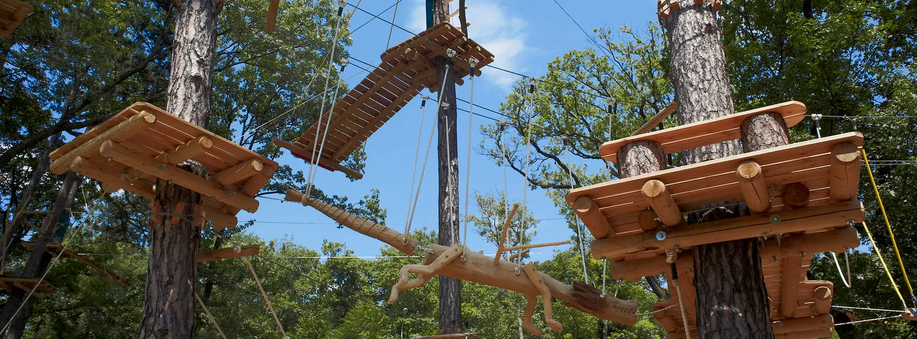 Obstacles Kahlenberg Forest Rope Park