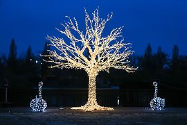 Tree of lights in the Hirschstetten Botanical Gardens 