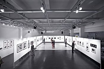 Sala principale della galleria WestLicht