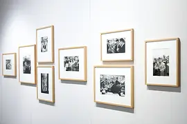 Photos in an exhibition