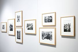 Фотографии на выставке