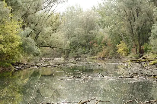Heustadlwasser au Prater