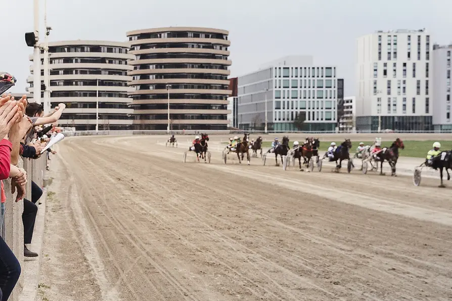 Course de trot à l'hippodrome de Krieau